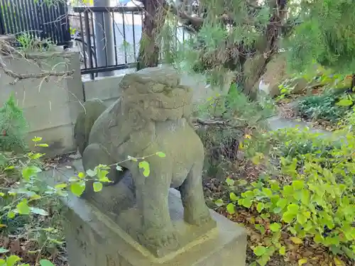 越谷香取神社の狛犬