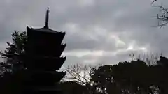 仁和寺の塔