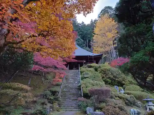 法雲寺(埼玉県)