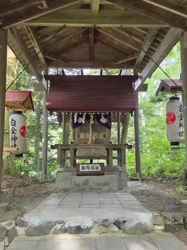 白金神社(北海道)