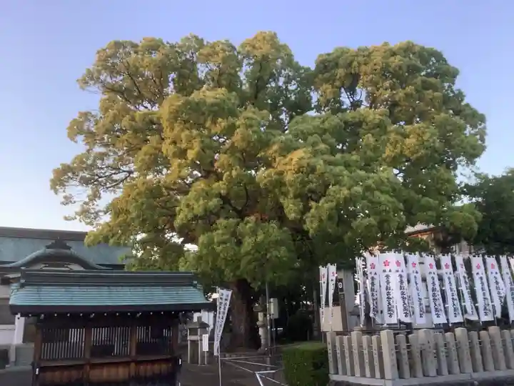 天満宮(常普請出世天満宮)の自然