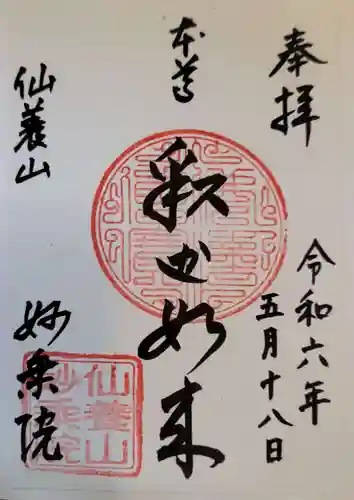 四季桜の寺 妙乗院の御朱印