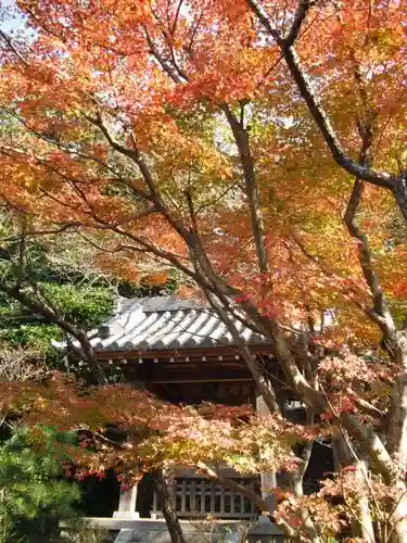 浄光明寺の自然
