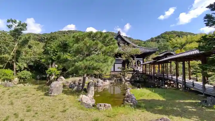 高台寺(高台寿聖禅寺・高臺寺)の景色