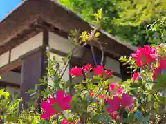 長楽寺(長野県)