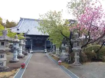 蓮華寺(静岡県)