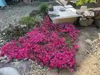 羽生天神社(宮城県)