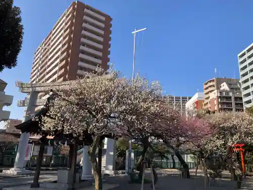 町田天満宮(東京都)