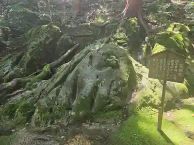 八大龍王社(滋賀県)