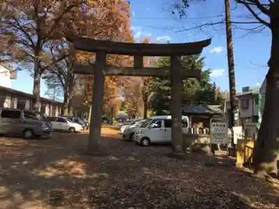平塚神社の鳥居