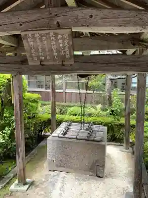 大池寺の{uncategorized: "未分類", other: "その他", undefined: "問題あり", building: "その他建物", grave: "お墓", sacred_gate: "鳥居", guardian: "狛犬", statue: "像", buddha: "仏像", history: "歴史", nature: "自然", garden: "庭園", animal: "動物", pagoda: "塔", temizu: "手水舎", mountain_gate: "山門・神門", sanctuary: "本殿・本堂", subordinate: "末社・摂社", art: "芸術", scenery: "景色", jizo: "地蔵", ema: "絵馬", goshuin: "御朱印", omikuji: "おみくじ", items: "授与品その他", amulet: "お守り", goshuincho: "御朱印帳", eats: "食事", festival: "お祭り", votive_dance: "神楽", shichigosan: "七五三参", wedding: "結婚式", experience: "体験その他", initially: "初詣", around: "周辺", anti_infection: "感染症対策"}