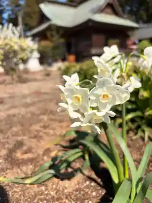 鹿嶋三嶋神社(茨城県)