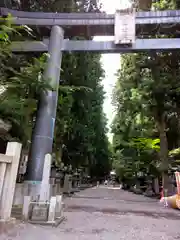 北口本宮冨士浅間神社の鳥居