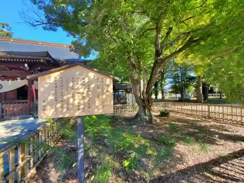 象山神社(長野県)