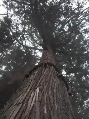 三峯神社の自然