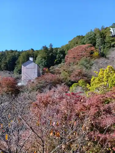 長谷寺(奈良県)