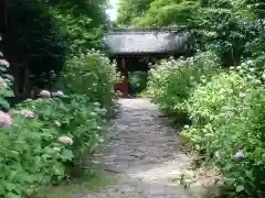 本光寺の建物その他