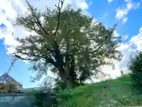 果号寺(三重県)