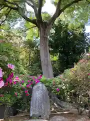 誉田八幡宮の建物その他