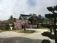 大覚寺の本殿・本堂