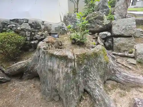 東禅院(京都府)