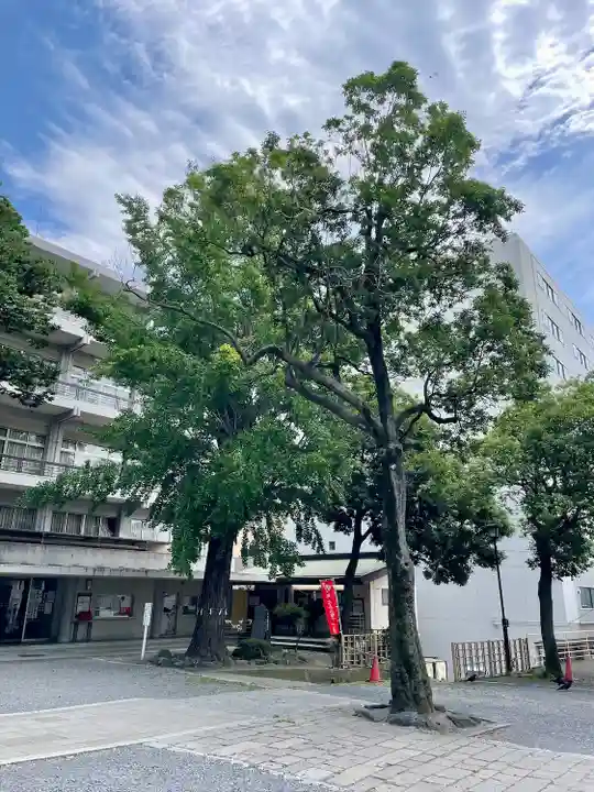 安積國造神社(福島県)