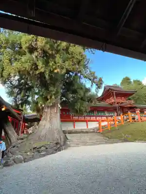 春日大社の本殿・本堂