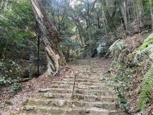 醍醐寺（上醍醐）(京都府)