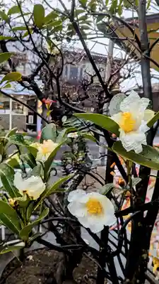 太上神社の自然