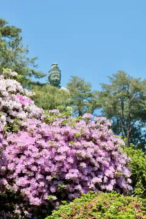 塩船観音寺(東京都)