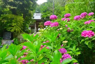 岩殿寺(神奈川県)