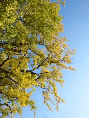 時宗総本山 遊行寺（正式：清浄光寺）(神奈川県)
