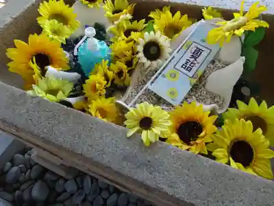 森戸大明神(森戸神社)の手水舎