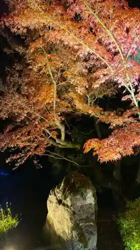 知恩院(京都府)