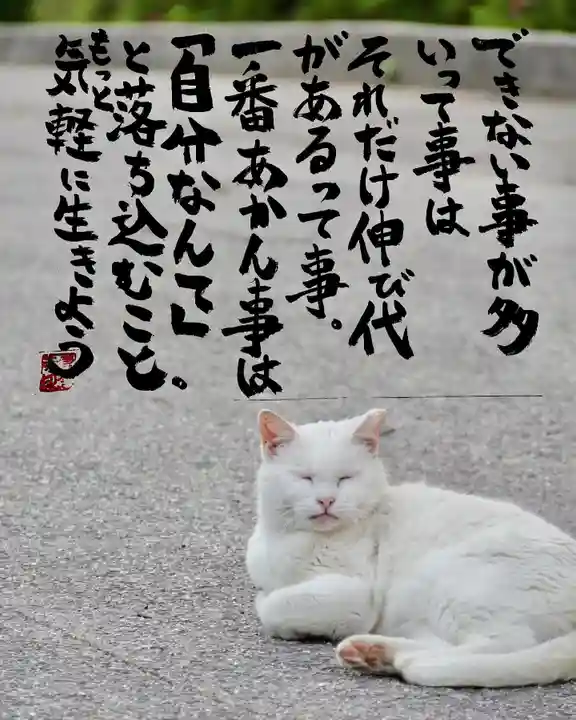 専念寺(大阪府)