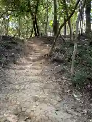 白美龍神社の自然