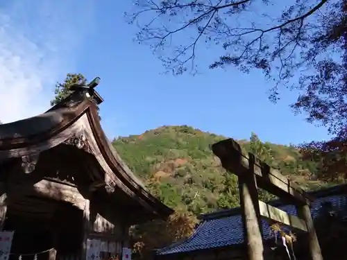 大矢田神社(岐阜県)