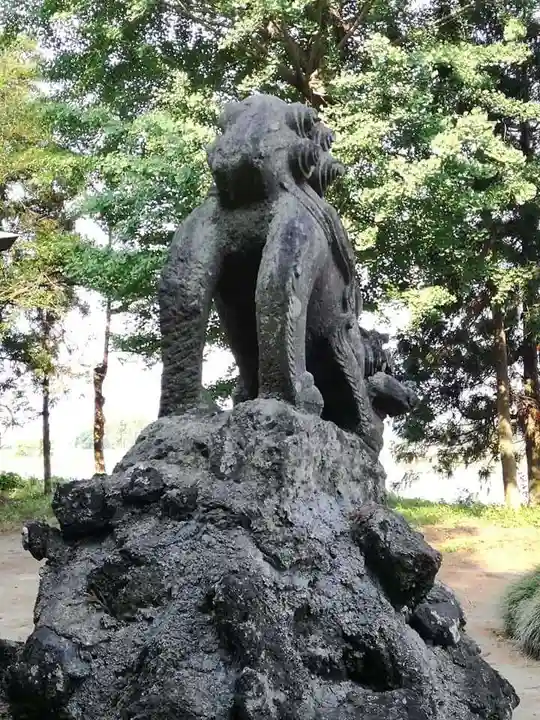 桜町二宮神社の狛犬