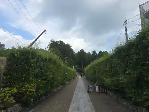 三室戸寺(京都府)