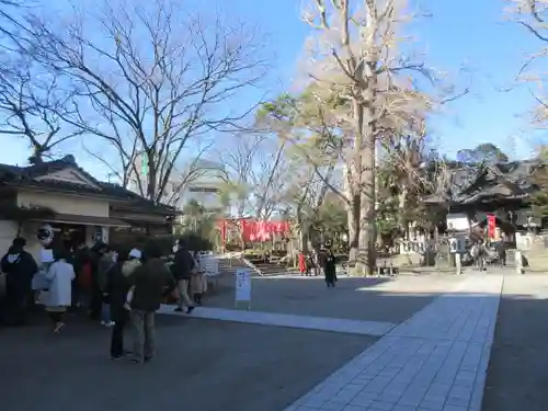 亀岡八幡宮（亀岡八幡神社）の景色