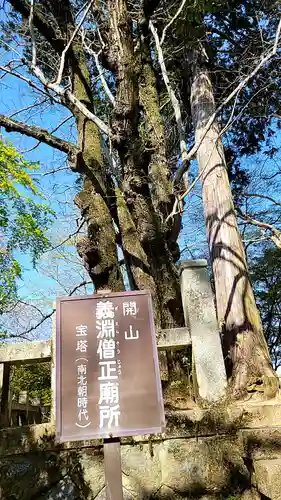 岡寺（龍蓋寺）(奈良県)