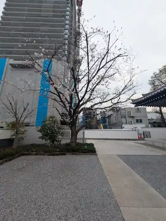 観音寺(東京都)