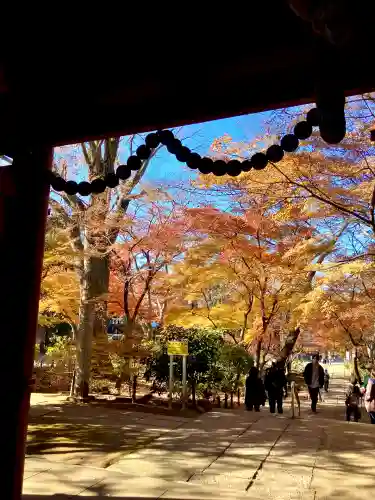 本土寺(千葉県)
