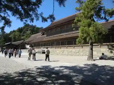 出雲大社(島根県)