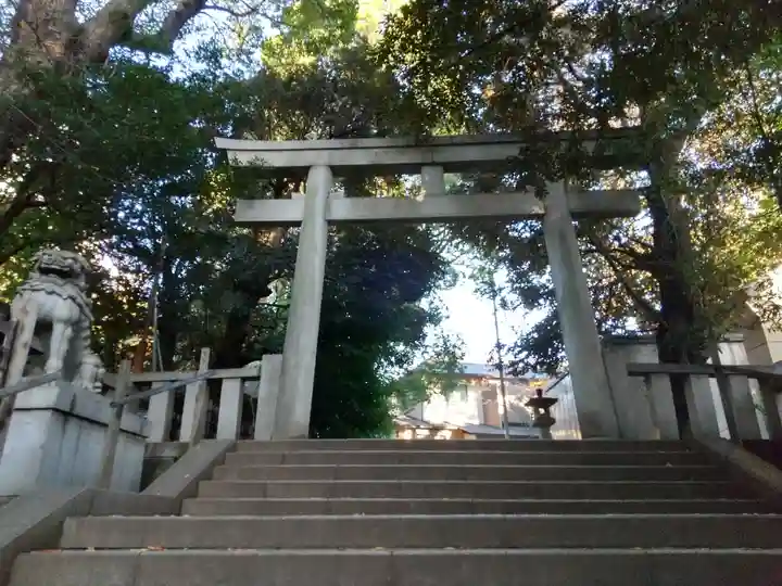 渋谷氷川神社(東京都)