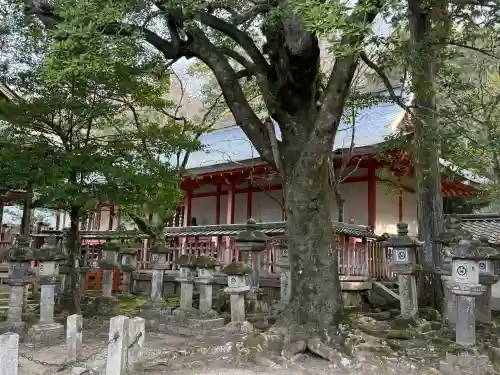 手向山八幡宮(奈良県)