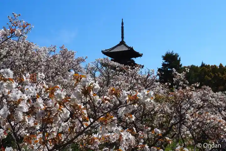 仁和寺(京都府)