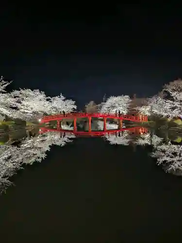 涼ケ岡八幡神社の{uncategorized: "未分類", other: "その他", undefined: "問題あり", building: "その他建物", grave: "お墓", sacred_gate: "鳥居", guardian: "狛犬", statue: "像", buddha: "仏像", history: "歴史", nature: "自然", garden: "庭園", animal: "動物", pagoda: "塔", temizu: "手水舎", mountain_gate: "山門・神門", sanctuary: "本殿・本堂", subordinate: "末社・摂社", art: "芸術", scenery: "景色", jizo: "地蔵", ema: "絵馬", goshuin: "御朱印", omikuji: "おみくじ", items: "授与品その他", amulet: "お守り", goshuincho: "御朱印帳", eats: "食事", festival: "お祭り", votive_dance: "神楽", shichigosan: "七五三参", wedding: "結婚式", experience: "体験その他", initially: "初詣", around: "周辺", anti_infection: "感染症対策"}