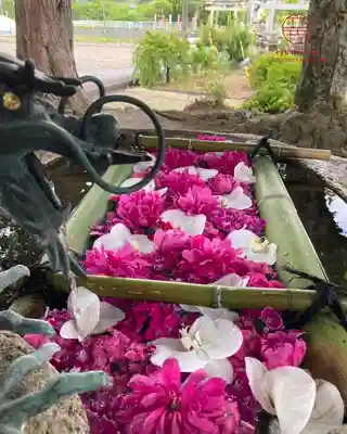 立志神社(滋賀県)