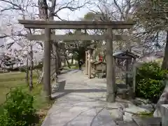 松井孫右衛門社の鳥居